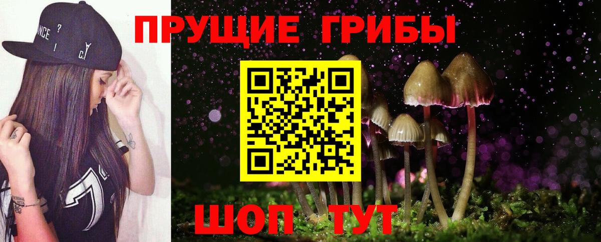 Качканар  сколько стоит  Галлюциногенные грибы ЛСД  Вход с VPN  Псилоцибиновые грибы GOLDEN TEACHER 