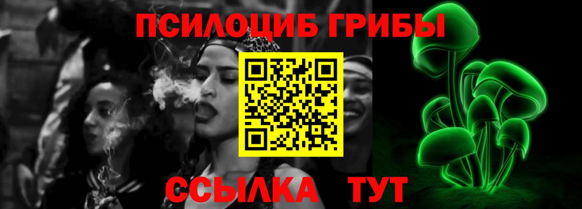 Галлюциногенные грибы прущие грибы Качканар