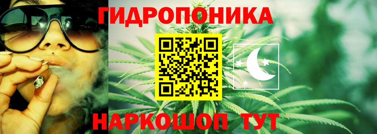 МАРИХУАНА сатива Качканар