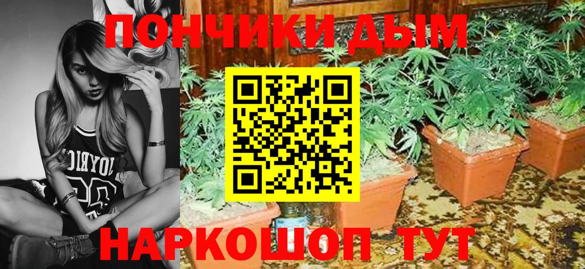 Бошки марихуана гибрид  Вход с VPN  Бошки марихуана Amnesia  Качканар 